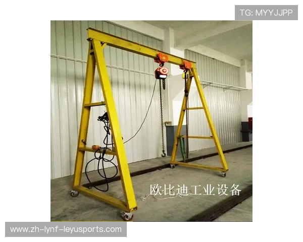 龙门架深蹲变式打造立体臀型全解析 龙门架深蹲变式打造立体臀型全解析